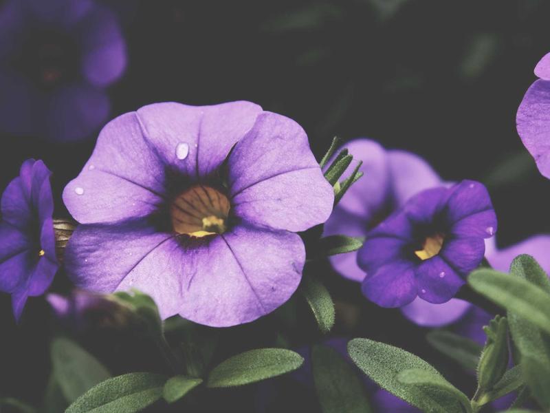 sudoku concentration boost screenshot 2